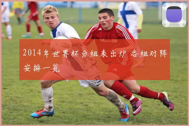 2014年世界杯分组表出炉 各组对阵安排一览